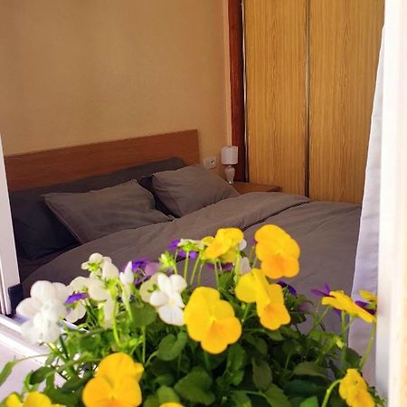 Isamar Apartamento Playa Del Cura Torrevieja Esterno foto