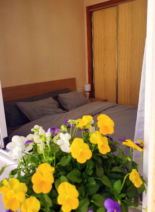 Isamar Apartamento Playa Del Cura Torrevieja Esterno foto